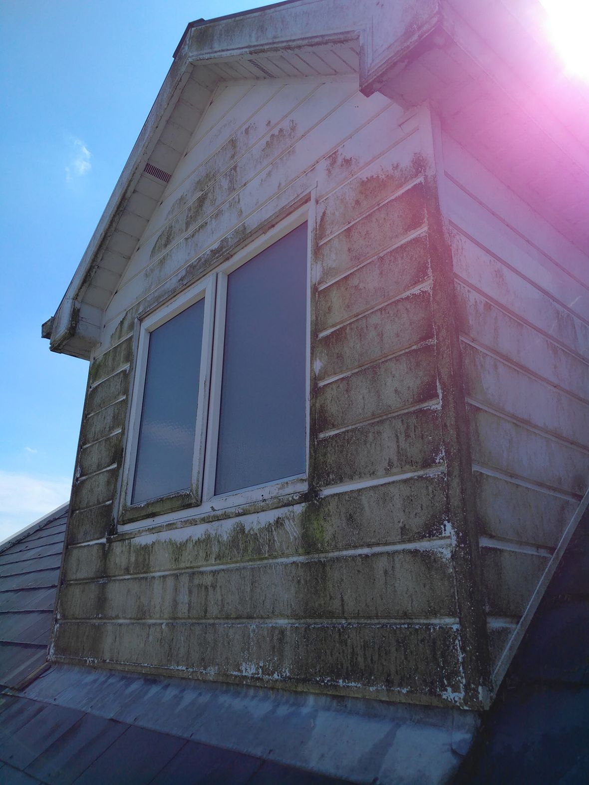 Soffit and Fascia Cleaning