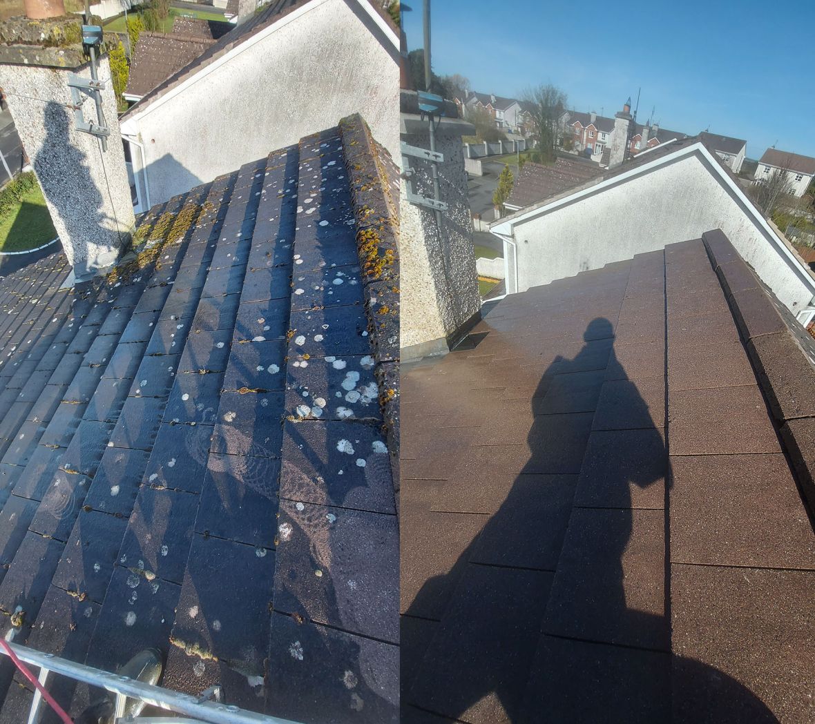 Roofs Cleaning Before - After