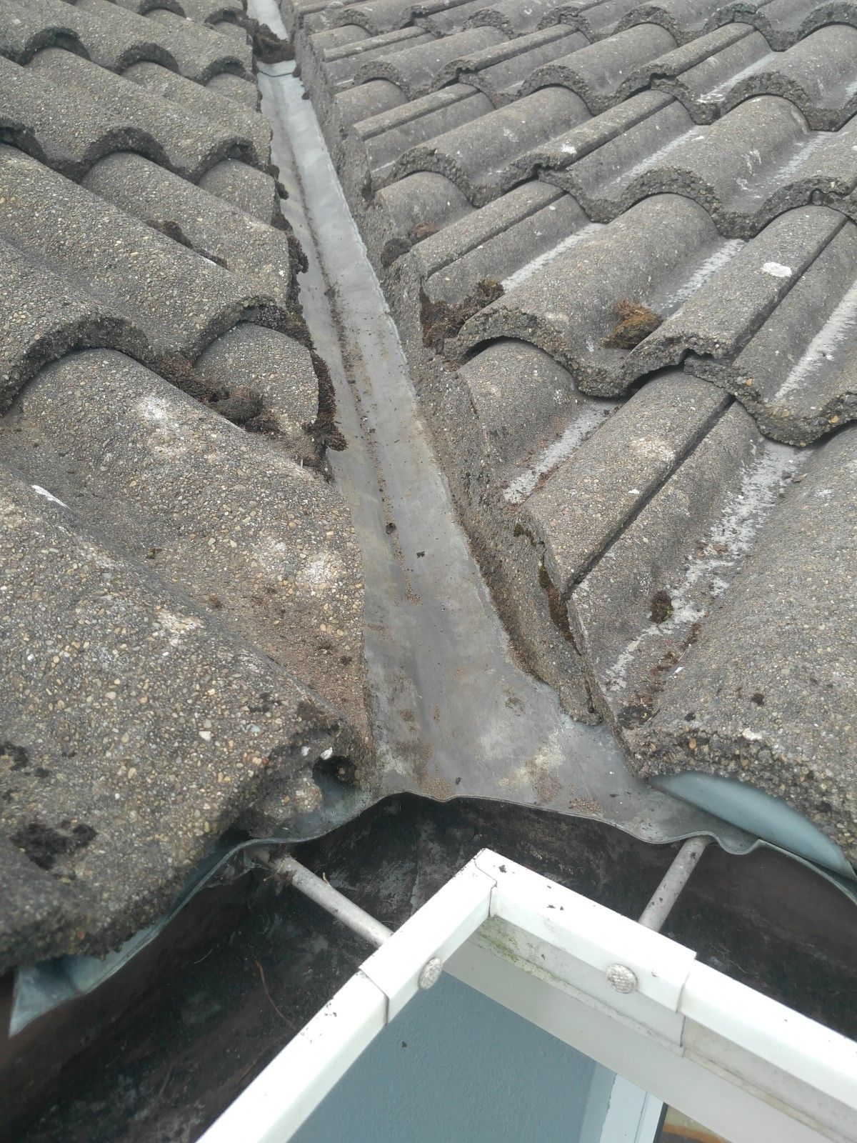 Gutters Cleaning 